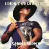 Saddle Brown - I Didn't Go Country